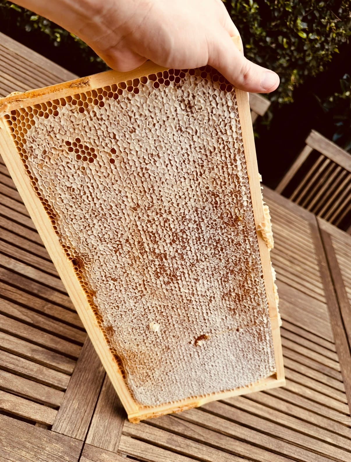 Honeycomb frame close-up