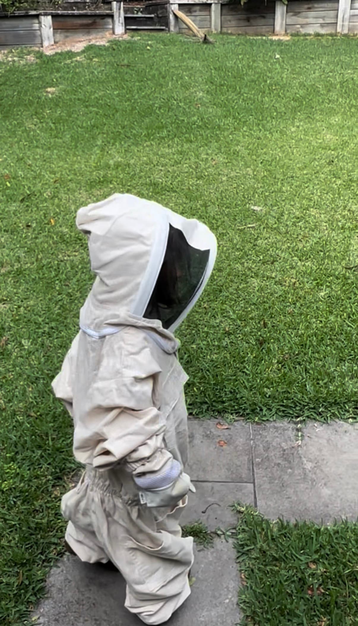 Child in beekeeper suit