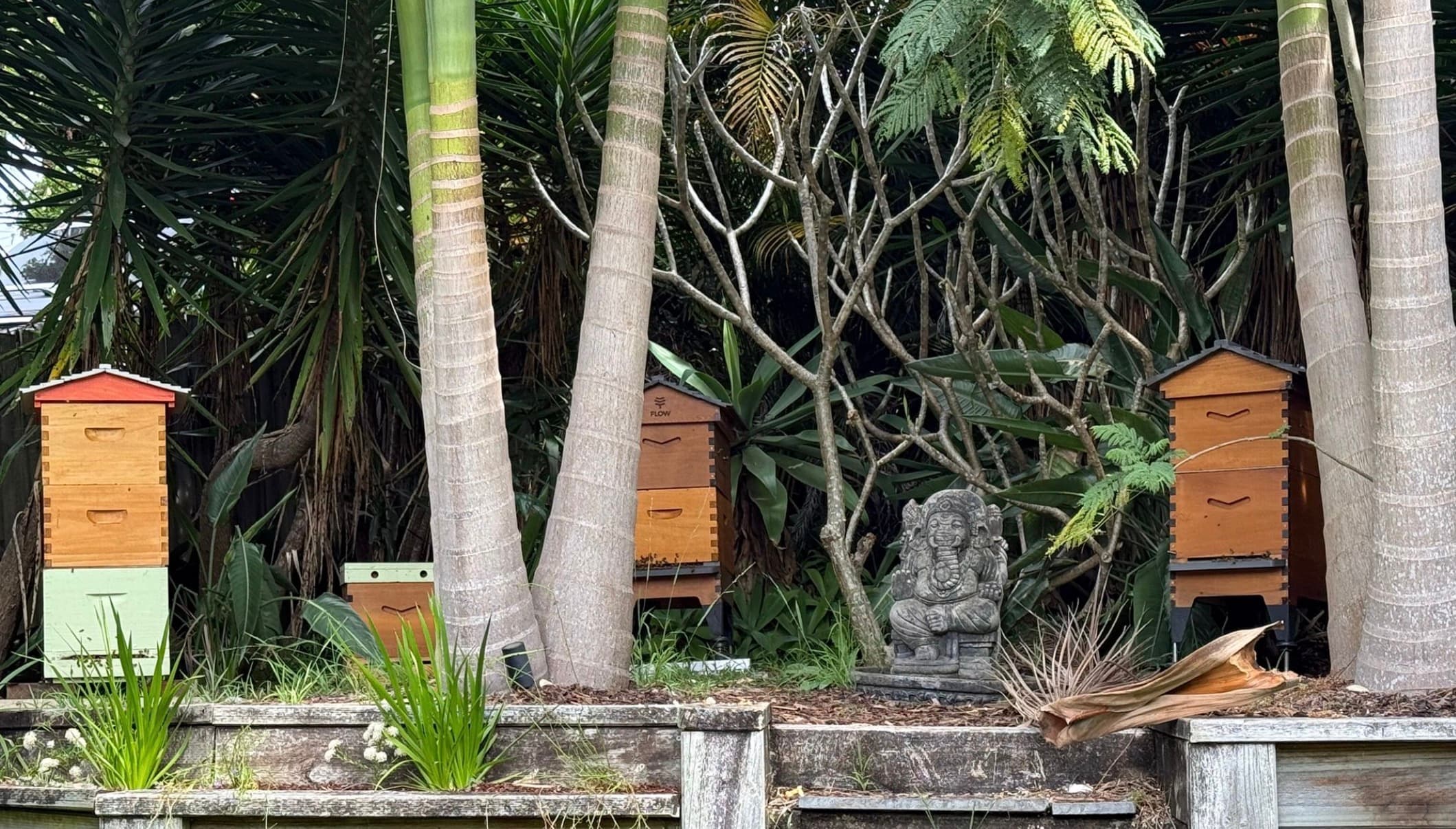 Outdoor beehive setup