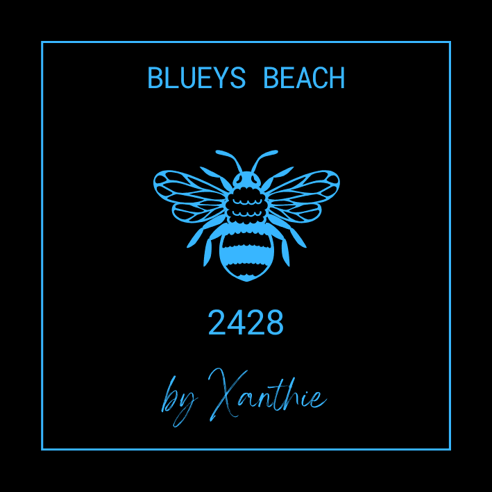 Blueys Beach - by Xanthie