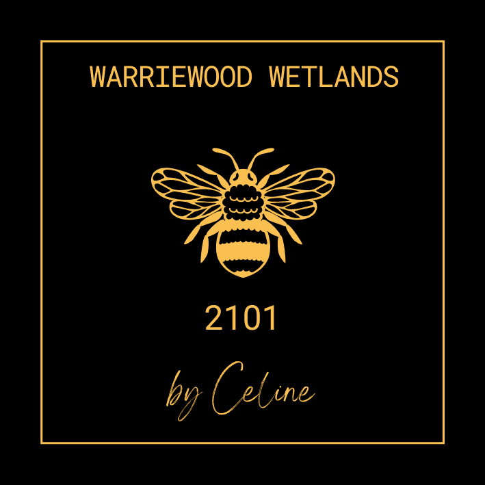 Warriewood Wetlands - by Celine